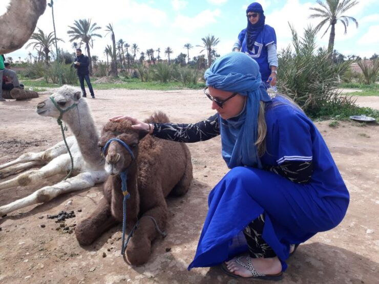 Marrakesh: Quad Bike & Camel Ride in Palmeraie - Experience Highlights