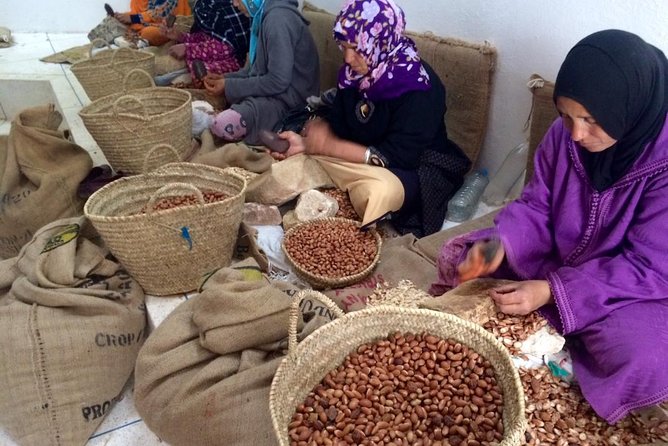 Marrakesh Shared Group Tour to Ouzoud - Important Details