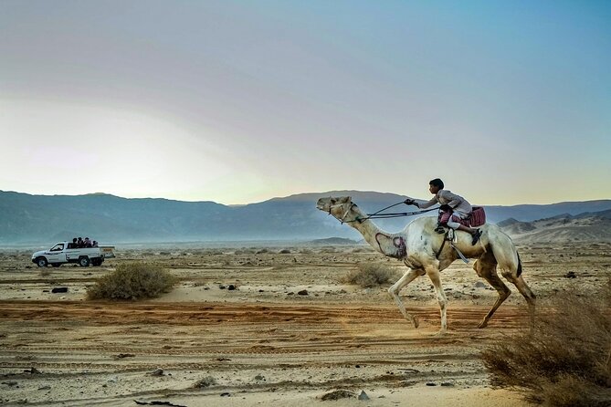 Marsa Alam ATV Quad Bike, Camel Ride and Dinner With Bedouin Show - Private Tour Details