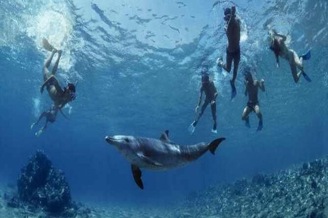 Marsa Alam Camel Trek and Snorkeling Adventure - Meeting and Pickup