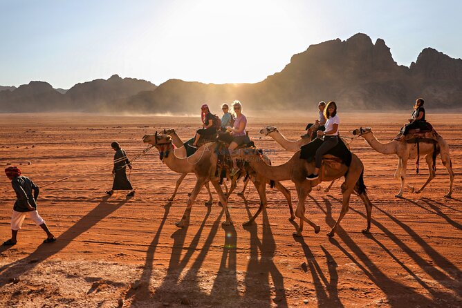 Marsa Alam Camel Trek and Snorkeling Adventure - Additional Information