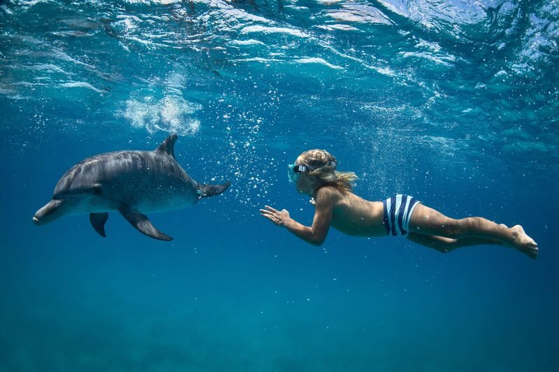 Marsa Alam Dolphin House Full-Day Snorkeling Tour - Is $65.75 good value?