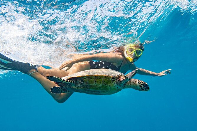 Marsa Alam Kite Surfing Lesson: Catch the Wind - Pickup Instructions