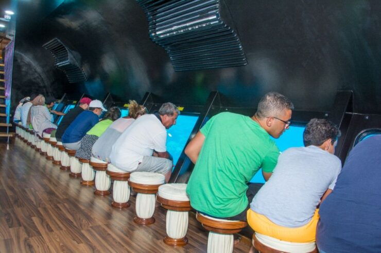 Marsa Alam: Nefertari Cruise With Snorkeling & Lunch/Dinner - Experience Highlights