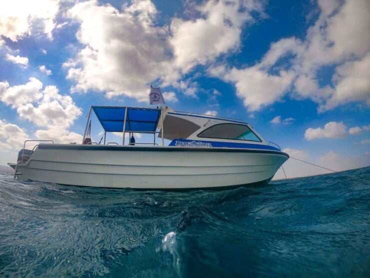 Marsa Alam: Private Snorkeling Trip With Dugong and Turtles - Booking Details