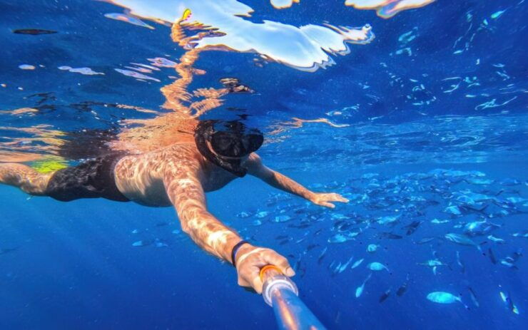 Marsa Alam: Sataya Reefs Dolphin Snorkel Cruise With Lunch - Activity Details