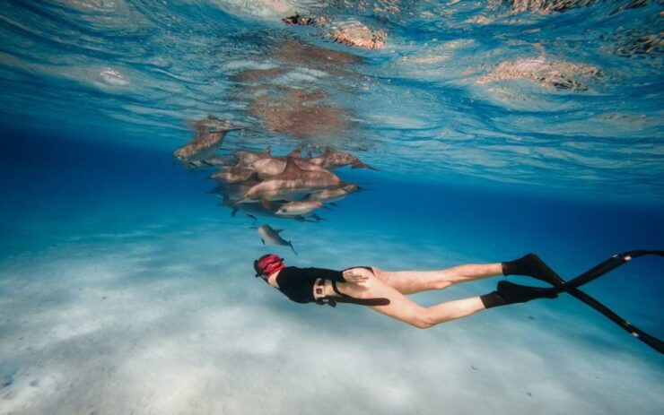 Marsa Alam: Sataya Reefs Dolphin Snorkel Cruise With Lunch - Experience Highlights
