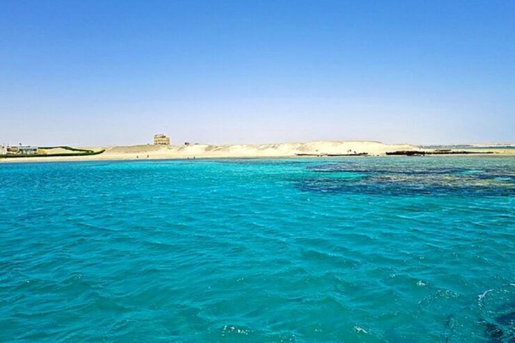 Marsa Alam: Sataya Reefs Dolphin, Snorkeling and Lunch - Activity Information
