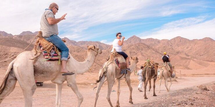 Marsa Alam: Sea and Desert Camel Riding Tour - Activity Information