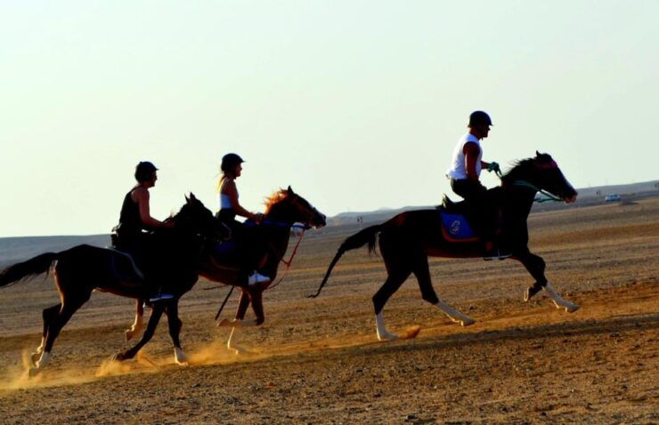 Marsa Alam: Sea and Desert Horse Riding Tour - Activity Details