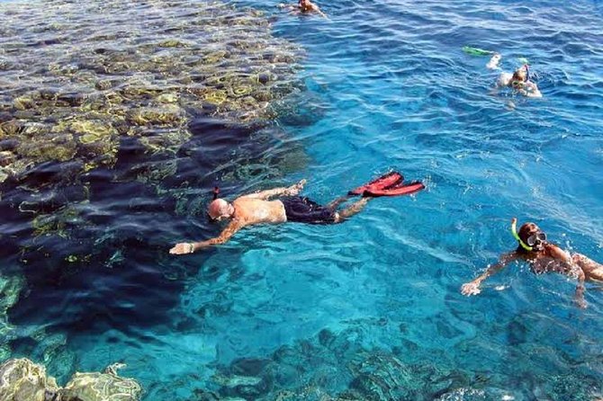 Marsa Alam: Snorkeling at Abu Dabab Beach - Destination Highlights