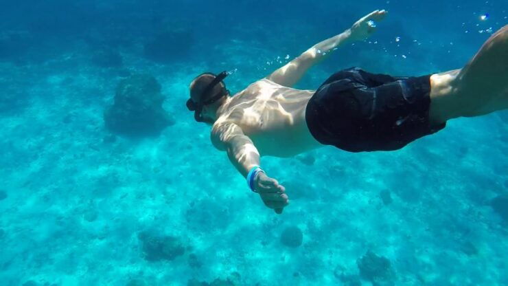 Marsa Alam: Snorkeling Boat Trip With Sea Turtles and Lunch - Activity Information