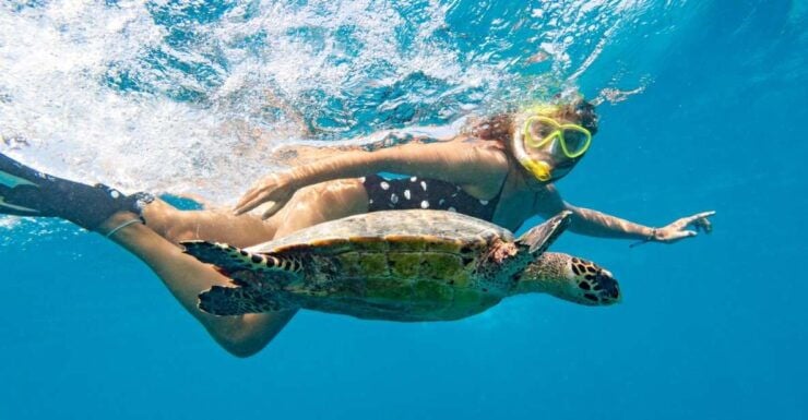 Marsa Alam: Snorkeling Boat Trip With Sea Turtles and Lunch - Experience Highlights