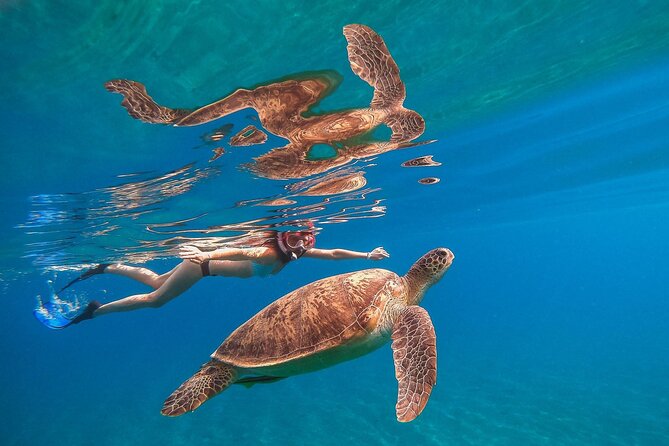 Marsa Mubarak Snorkeling With Dugong, Turtles and Lunch - Good To Know