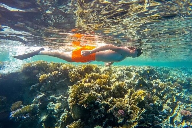 Marsa Mubarak Snorkeling With Intro Diving and Lunch - The Sum Up