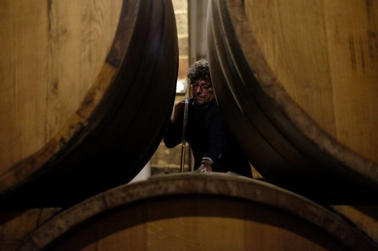 Marsala: Florio Winery Tour With Local Wine Tasting - Experience Highlights