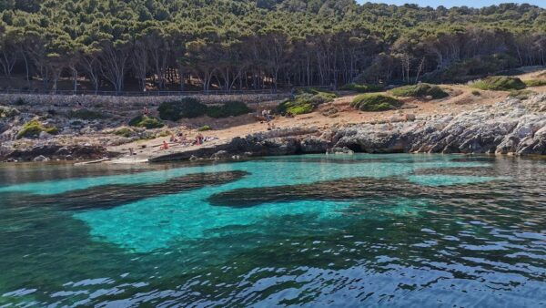 Marsala: Full-Day Trip by Dinghy to Favignana and Levanzo - Live Tour Guide