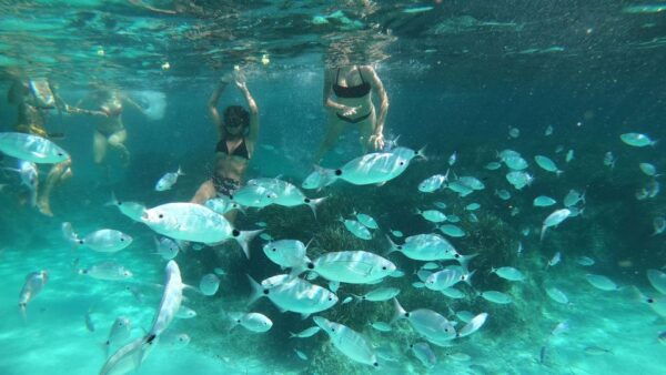 Marsala: Full-Day Trip by Dinghy to Favignana and Levanzo - Additional Information