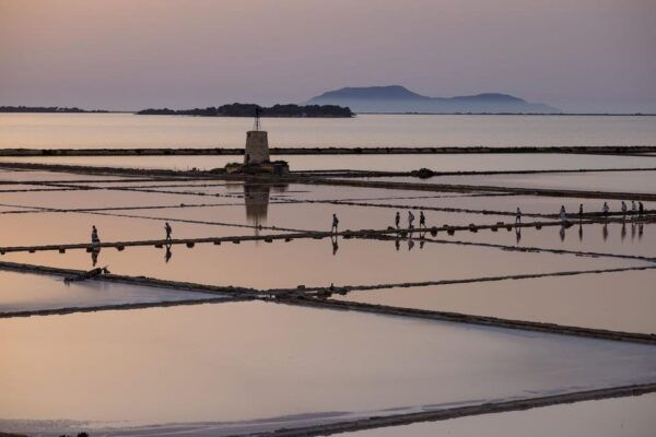 Marsala: Guided Salt Pans Walk Tour With Windmill Visit - Purchasing Trapani Sea Salt PGI