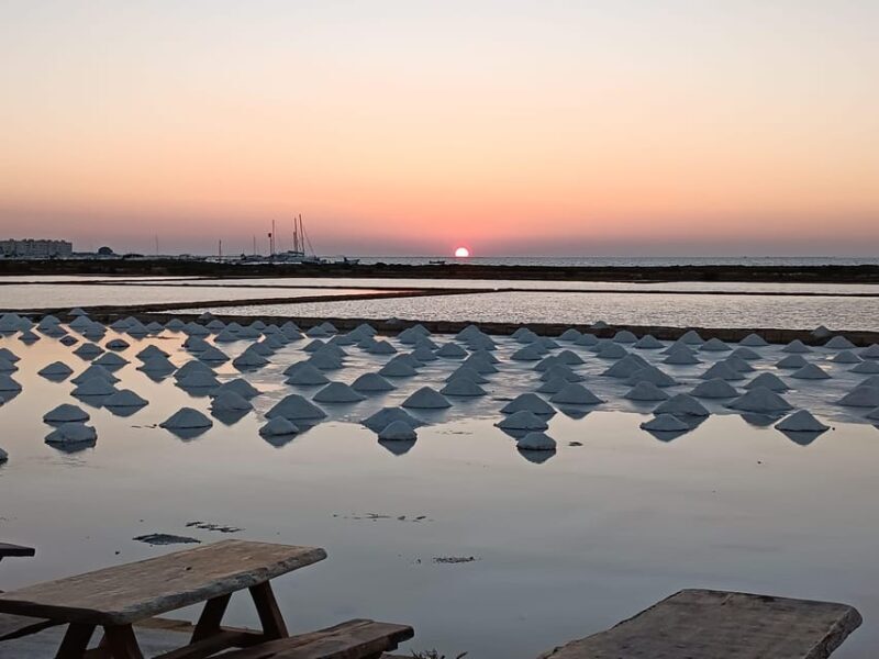 Marsala: Guided tour of the Genna Salt Pans - Final Thoughts