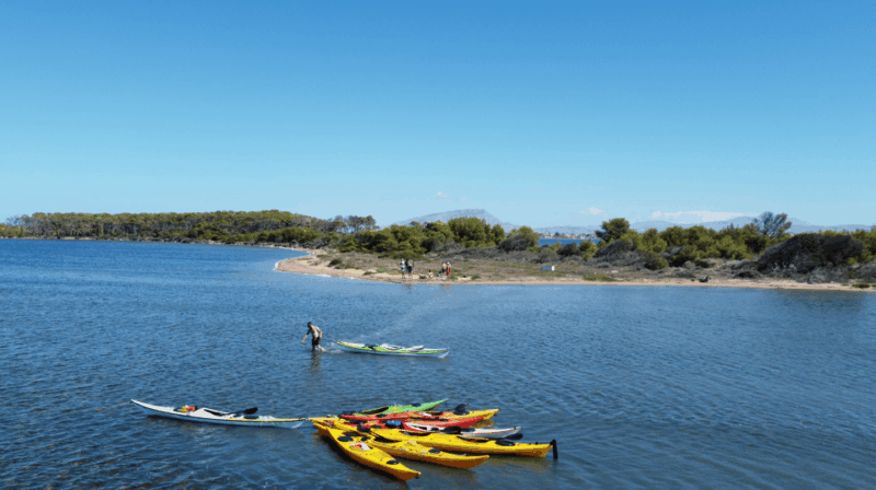 Marsala: Kayak Tour in Stagnone Di Marsala Nature Reserve - Good To Know