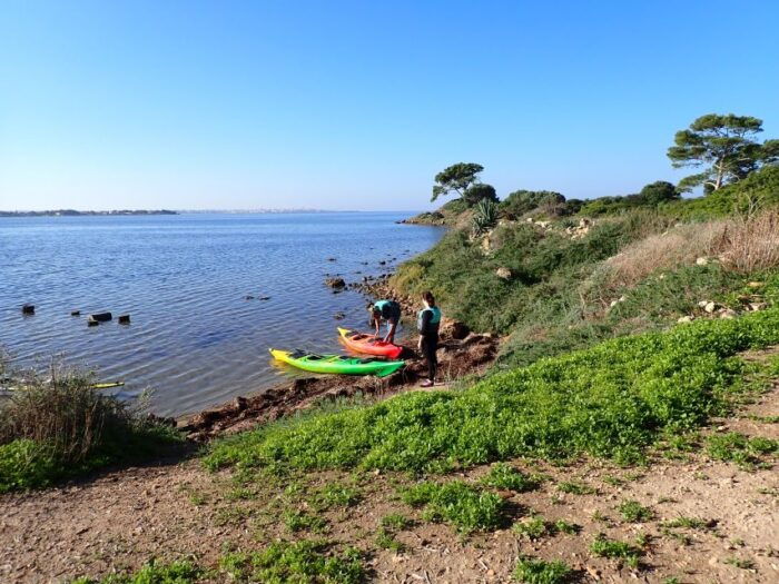 Marsala: Kayak Tour in Stagnone Di Marsala Nature Reserve - Customer Experiences and Reviews