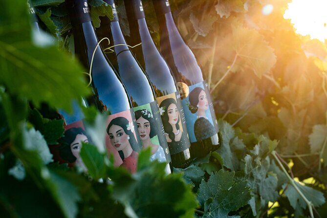 Marsala Tasting of 5 Sicilian organic wines - What to Expect from the Marsala Organic Wine Tasting Tour