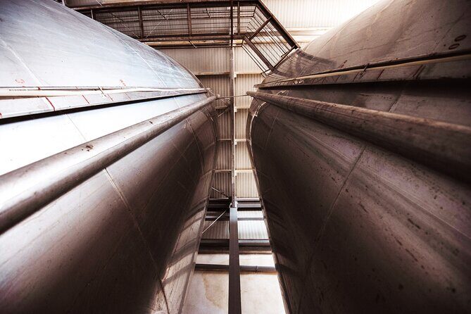 Marsala Tasting of 5 Sicilian organic wines - Good To Know