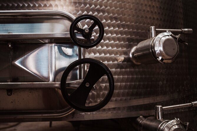 Marsala Tasting of 5 Sicilian organic wines - Practical Details: What You Need to Know