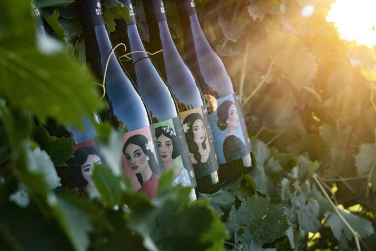 Marsala: Winery Tour and Sicilian Organic Wine Tasting - Tour Details