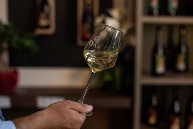 Marsala: Winery Tour and Sicilian Organic Wine Tasting - Inclusions