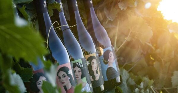Marsala: Winery Tour and Sicilian Organic Wine Tasting - Additional Information