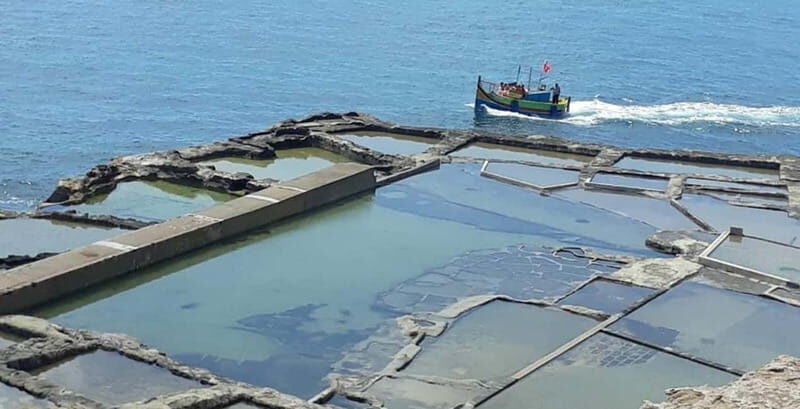 Marsaxlokk and Delimara Coast Boat Trip : incl. St.Peter's - Good To Know  