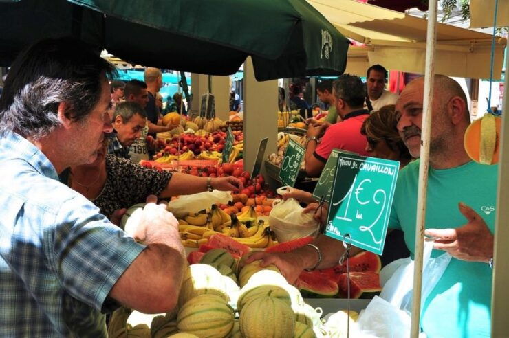 Marseille: 8-Hour Provençal Picnic Tour - Experience Highlights
