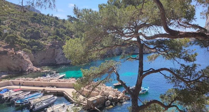 Marseille, Aix-en-Provence & Cassis 7-Hour Tour - Discovering the South of France: Marseille, Aix-en-Provence & Cassis in 7 Hours