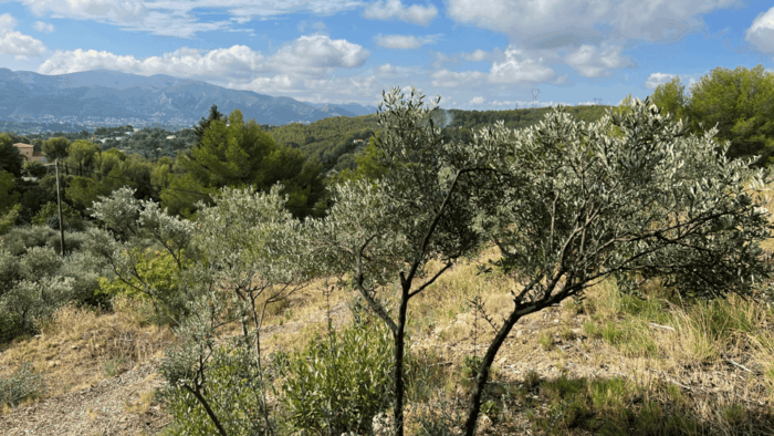 Marseille - Allauch: Between Tradition, History and Nature - Embracing Nature: Panoramic Views and Outdoor Experience