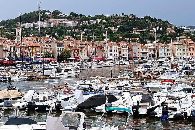Marseille and Cassis Private Full-Day Tour - The Sum Up