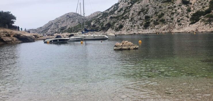 Marseille: Calanque National Park Coves Guided Hiking Tour - Experience Insights