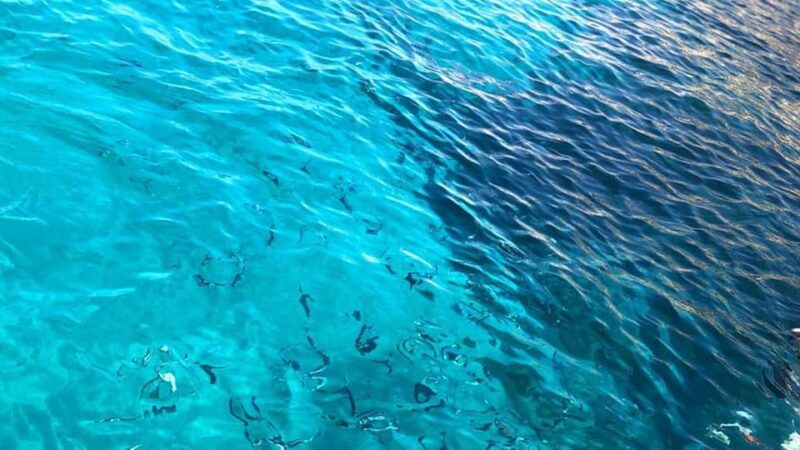 Marseille: Calanques National Park Eco-Friendly Cruise - Itinerary Highlights