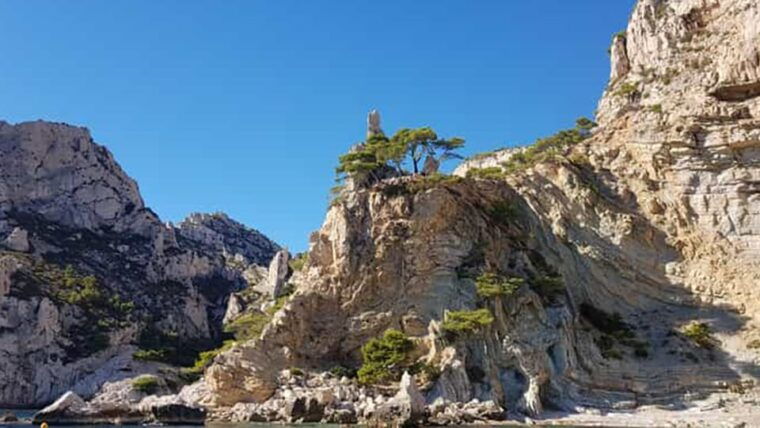 Marseille: Calanques National Park Eco-Friendly Cruise - Exploring the Natural Wonders
