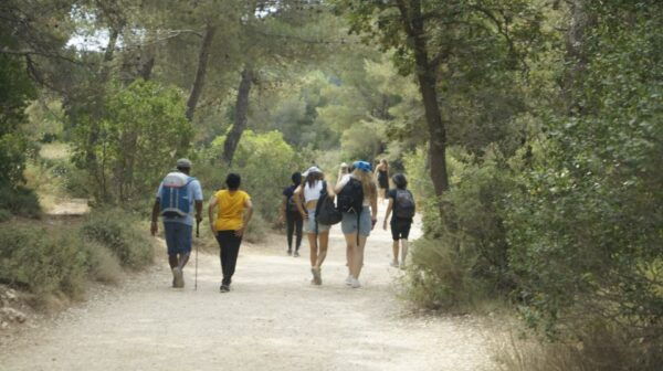 Marseille: Calanques National Park Guided Hike With Picnic - The Sum Up