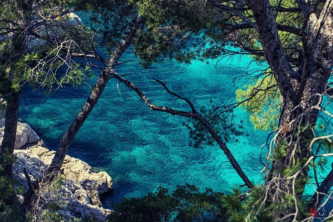 Marseille City and Calanques Electric Bike Tour - Tour Inclusions