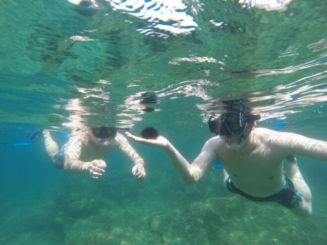 Marseille: Endoume Snorkeling Adventure With Snacks & Drinks - Exploring Underwater World With Snorkeling Gear