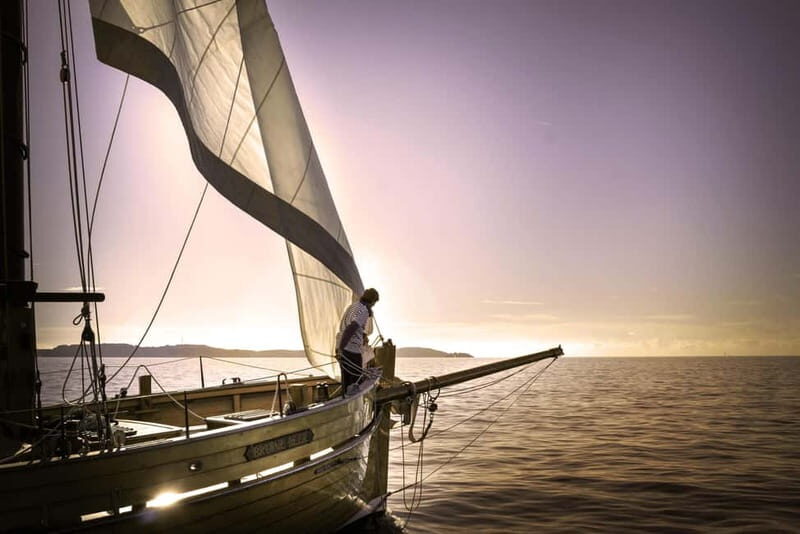 Marseille: Evening sailboat trip to the Calanques du Frioul with buffet and organic wine - An Overview of the Experience