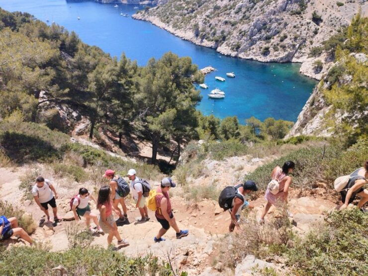 Marseille: Guided Hiking Calanques National Park From Luminy - Activity Details