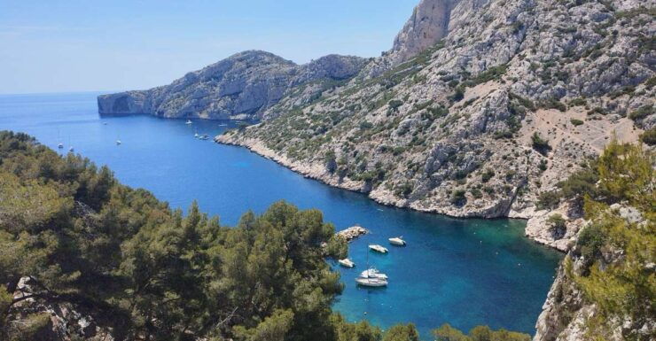 Marseille: Guided Hiking Calanques National Park From Luminy - Experience Highlights