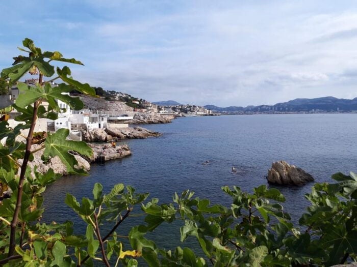 Marseille: Hidden Coves Exploration & Treasure Hunt - Uncovering Historical Legends