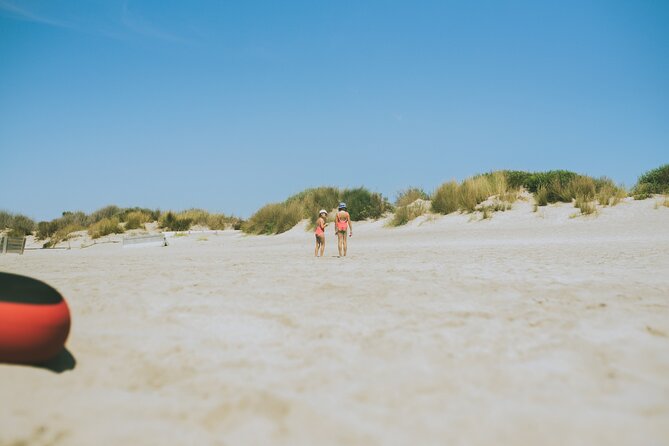 Marseille Like a Local: Customized Private Tour - End Point and Cancellation Policy