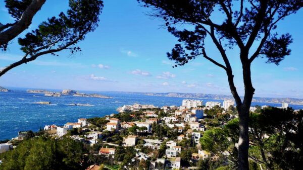 Marseille: Magnificent Neighborhoods Guided Walking Tour - The Sum Up