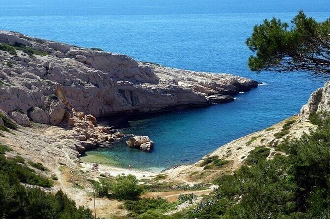 Marseille Old Port And Panier District Walking Tour - What’s Included and What to Expect